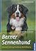 Image of Berner Sennenhund: Auswahl, Haltung, Erziehung, Beschäftigung