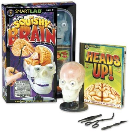 The Amazing Squishy Brain - Includes Bonus Pop Toob!