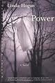 Power: A Novel