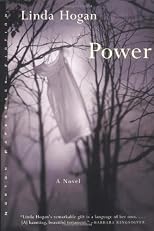 Power: A Novel