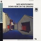 Down Here On The Ground
