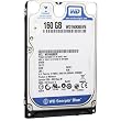 Western Digital 160 GB Scorpio Blue 100 Mb/s 5400 RPM 8 MB Cache Bulk/OEM Notebook Hard Drive - WD1600BEVE