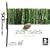 Zenses: Rainforest Edition (Nintendo DS)