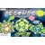 Glow in the Dark 180 Piece Box Set ~ Geomag the Original Magnetic World