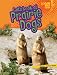 Let's Look at Prairie Dogs (Lightning Bolt Books Animal Close-Ups)