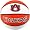 Auburn Tigers