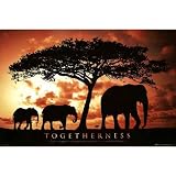 Elephant Family (Togetherness) Art Poster Print - 24x36 Collections Poster Print, 36x24