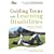 Guiding Teens with Learning Disabilities: Navigating the Transition from High School to Adulthood