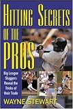 Hitting Secrets of the Pros : Big League Sluggers Reveal The Tricks of Their Trade