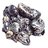 Cuitlacoche ( Corn Smut ) - 7.6 Oz Can Each