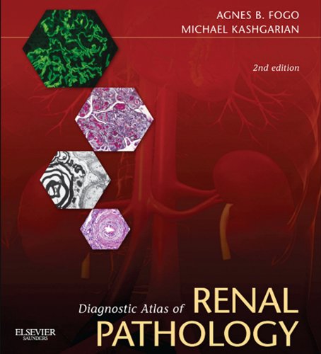 diagnostic atlas of renal pathology
