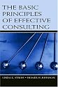 The Basic Principles of Effective Consulting