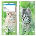 Electronics : Kittens in the grass - Lapjacks skin for Apple iPod nano 2nd generation