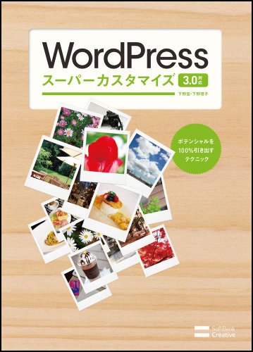 WordPressスーパーカスタマイズ 3.0対応　ポテンシャルを100％引き出すテクニック