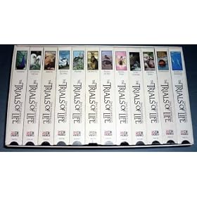 David Attenborough's The Trials of Life [VHS]