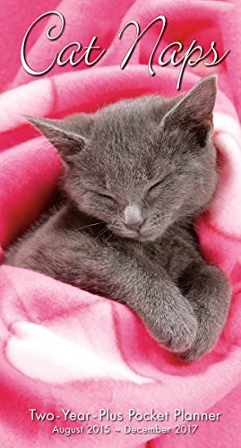 Cat Naps 2016 Checkbook/2 year pocket planner Calendar (Multilingual Edition), by Sellers Publishing