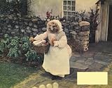 Tales of Beatrix Potter 11 x 14 Movie Poster - Style C