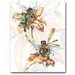 Day Lily Fairies - Gift Enclosure Cards (set of 12)
