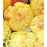 Big Rainbow Tomato 4 Plants - Great Flavor/Low Acidity