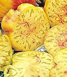 Big Rainbow Tomato 50 Seeds - Heirloom