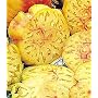 Big Rainbow Tomato 50 Seeds - Heirloom