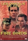 Fire Birds Qv