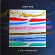 A Sky Underground