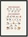 Black Framed/Matted Print 17x23, Fly-Fishing Lures: Low Water and Special