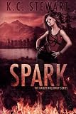 Spark (The Hailey Holloway Series Book 1)