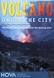NOVA: Volcano Under the City