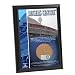 MLB Toronto Blue Jays Rogers Centre 4x6-Inch Game Used Dirt Plaque Photomint