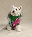 WATERMELON - LARGE - Reversible Puffy Dog Vest
