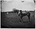 [Bealeton, Va. Capt. Henry Page, assistant quartermaster, at Army of the Potomac head...