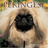 Pekingese 2009 Wall Calendar