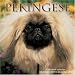 Books : Pekingese 2009 Wall Calendar