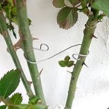 [ベルツモア][かんたん誘引材]ローズフック　4cm/6cm/9cmのセット[バラの枝の誘引に！]