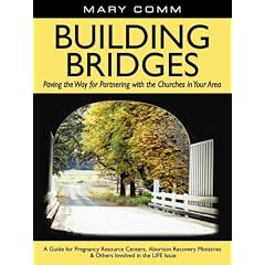Building Bridges: Paving the Way for Partnering with the Churches in Your Area