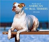 Pit Bull Terriers Am Deluxe Wall - 2008 Calendar