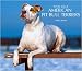 Pit Bull Terriers Am Deluxe Wall - 2008 Calendar