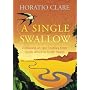A Single Swallow: Following an Epic Journey from South Africa to South Wales