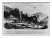 Historic Print (L): Illicit distillation of liquors - how the article is carried to t...
