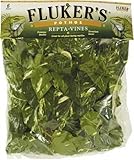 Fluker's Repta Vines-Pothos