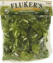 Fluker's Repta Vines-Pothos
