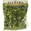 Fluker's Repta Vines-Pothos