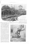 Antique Short Story Lone Hand By Hall 1897