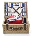 Carnival Premium Stripe Picnic Basket
