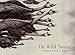 The Wild Swans
