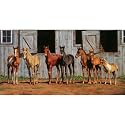 Chris Cummings Little Partners 1000pc Jigsaw Puzzle