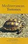 Mediterranean Tortoises