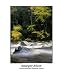 Autumn colors around Sawyer River in the White Mountains, New Hampshire USA Places Photographic Poster Print by Erin Paul Donovan, 20x24